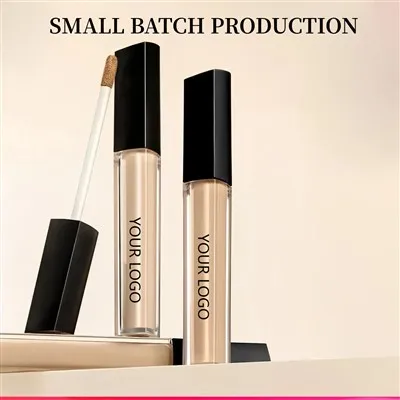 Analysis of the Concealer Product Industry Knowledge